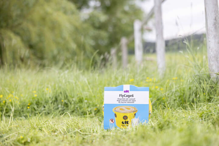 cit Fliegenfalle FlyCage inklusive Lockstoff